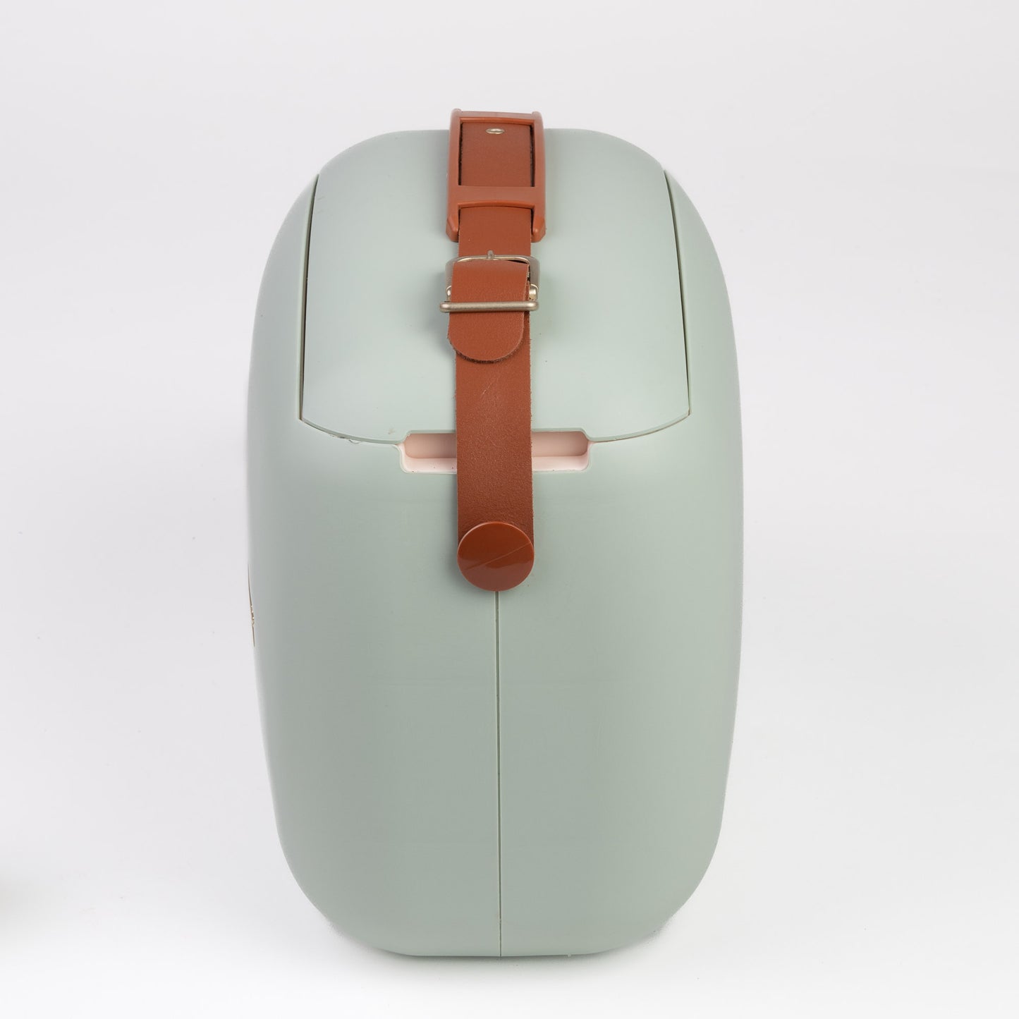 Polarbox 6L Retro Coolbag - Matcha Gold